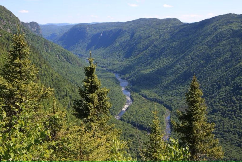 Valley where Modinex timber comes from