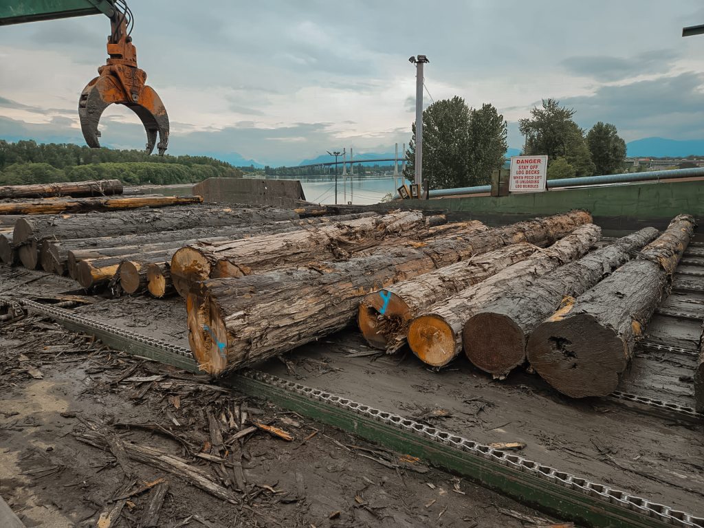Timber